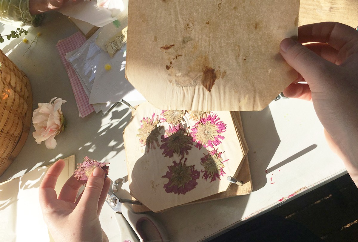 Close up of hands preparing pressed dried flowers.