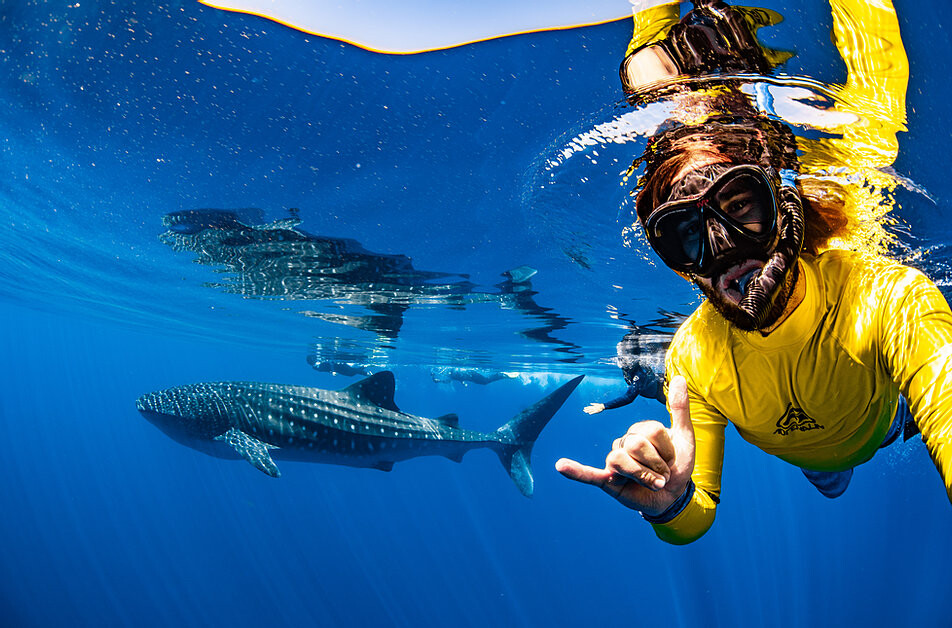 Jess gives the Rock On hand signal while taking a selfie with a whale shark