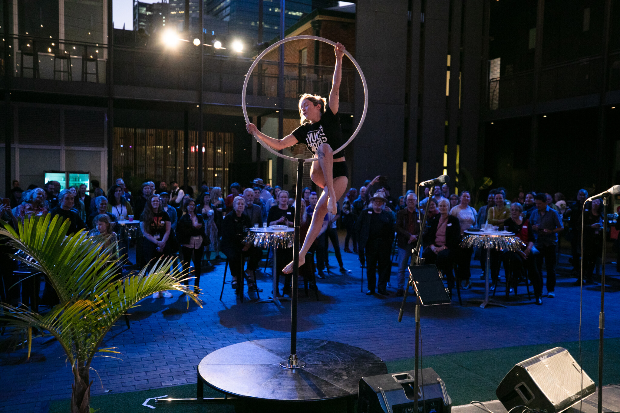 Outdoor performance with guitarist, singer, and aerial hoop acrobat; crowd watches.