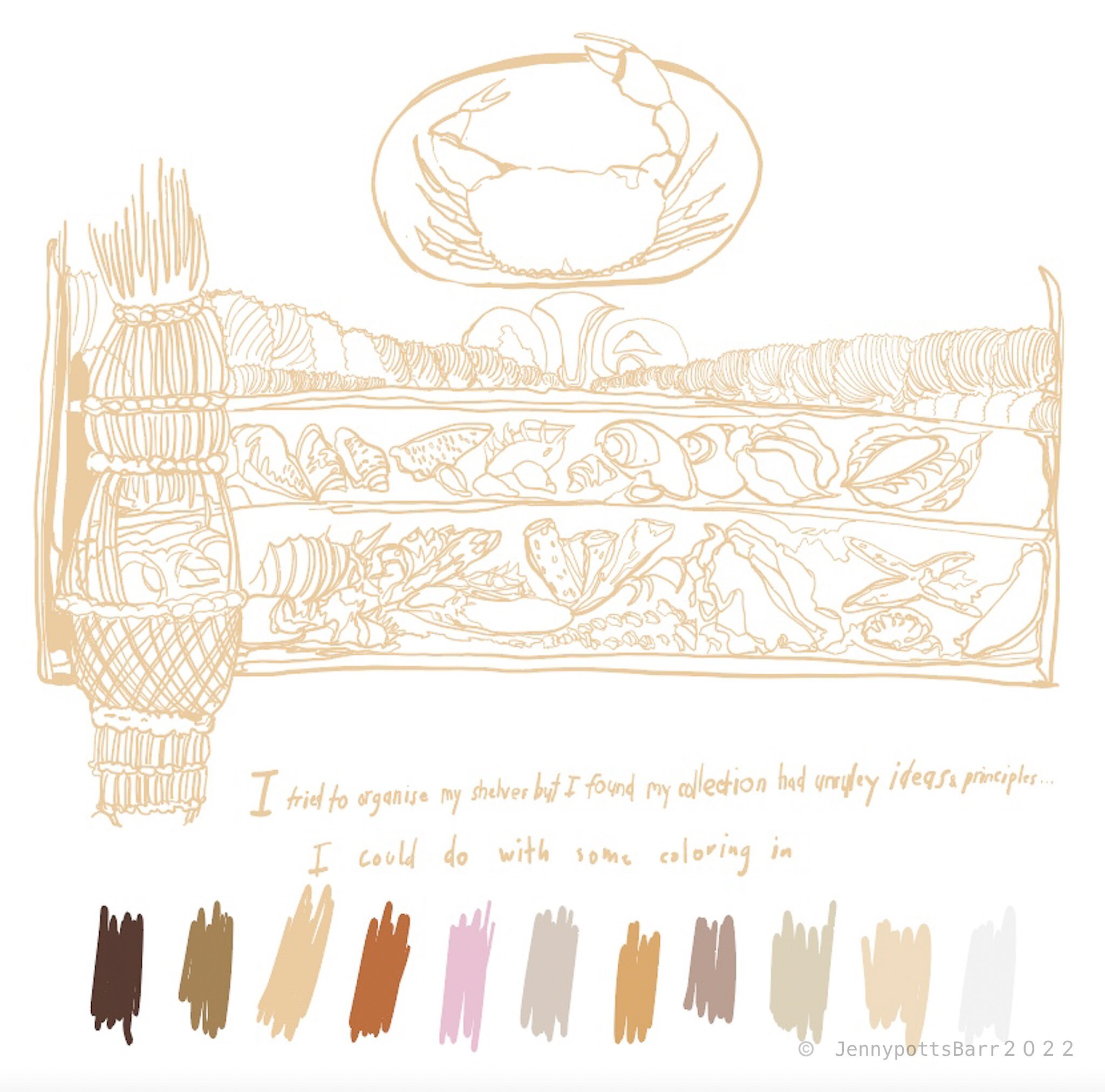 A drawing of a set of shelves with random objects on it. There is a drawing of a crab in a circle above it, and eleven colour swatches of different browns below. Text under the drawing reads 'I tried to organise my shelves but I found my collection had unruly ideas principles...I could do with some colouring in.'