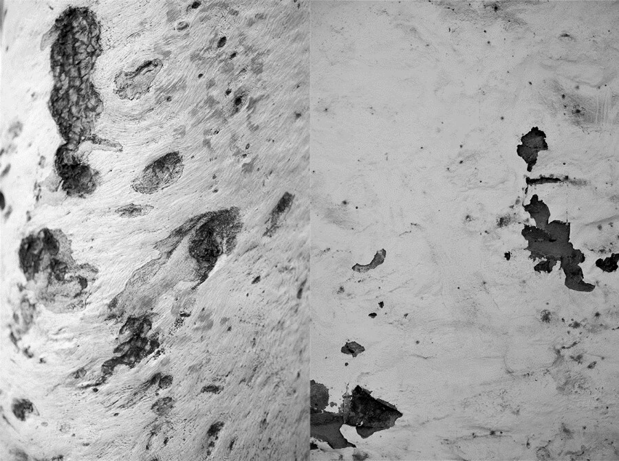 Two black and white photos next to each other. One is a close up of the holes and blemishes on a white gum tree trunk, the other is a close up of the damage to a jail cell wall.