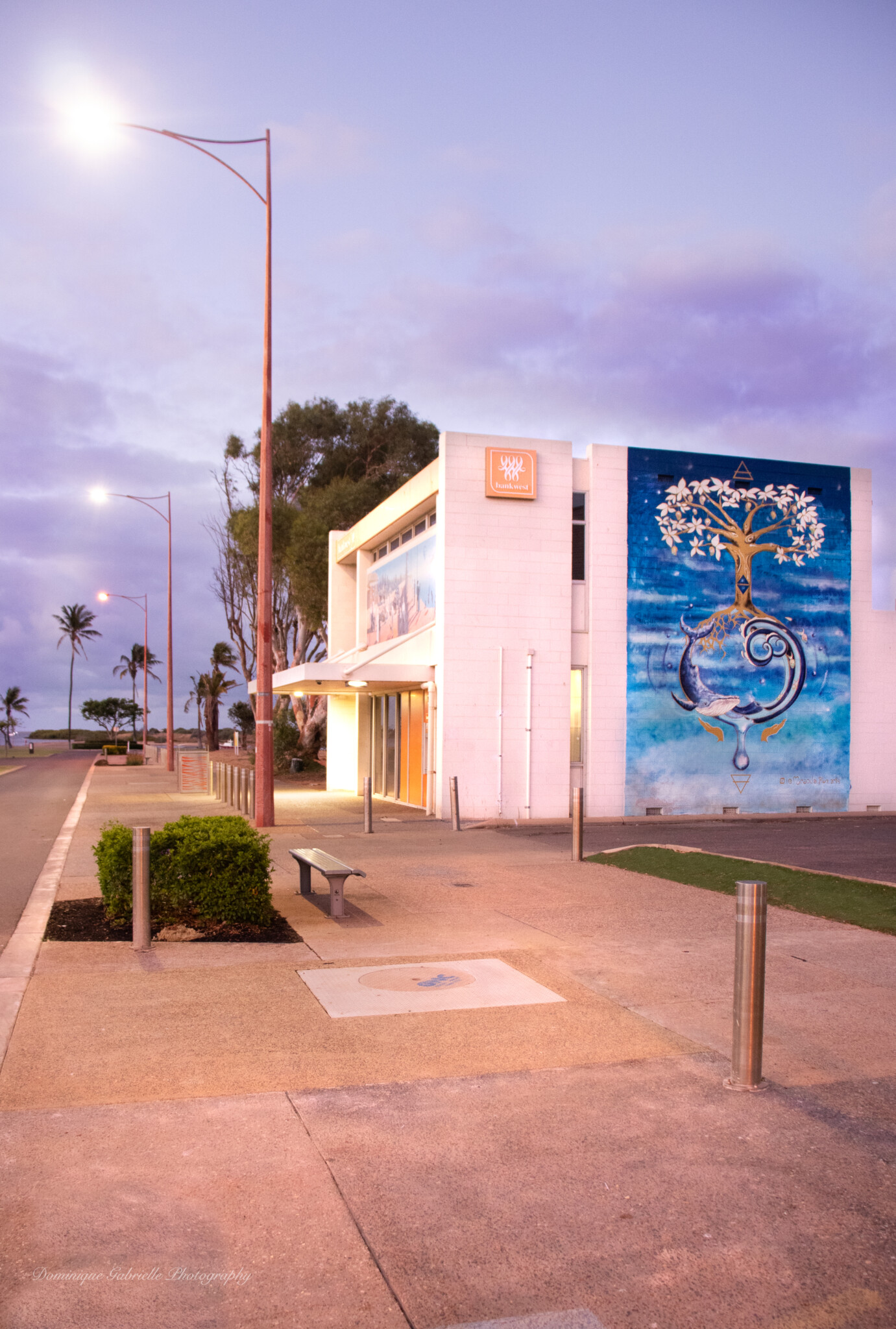 Mural on the side of a white BankWest building. The mural is a tree with dolphins in a circle at the roots on a blue background.