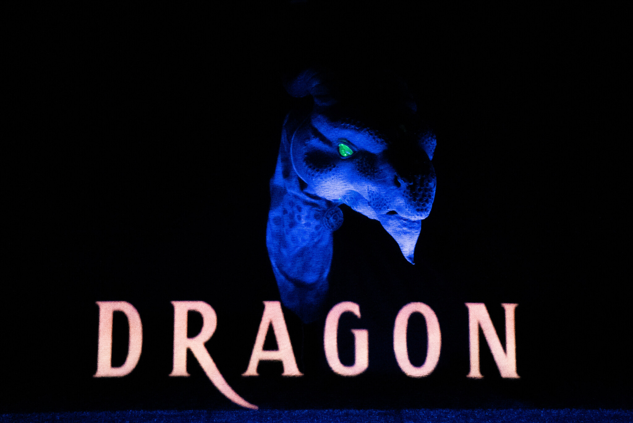 A large blue dragon puppet head with text underneath reading DRAGON.