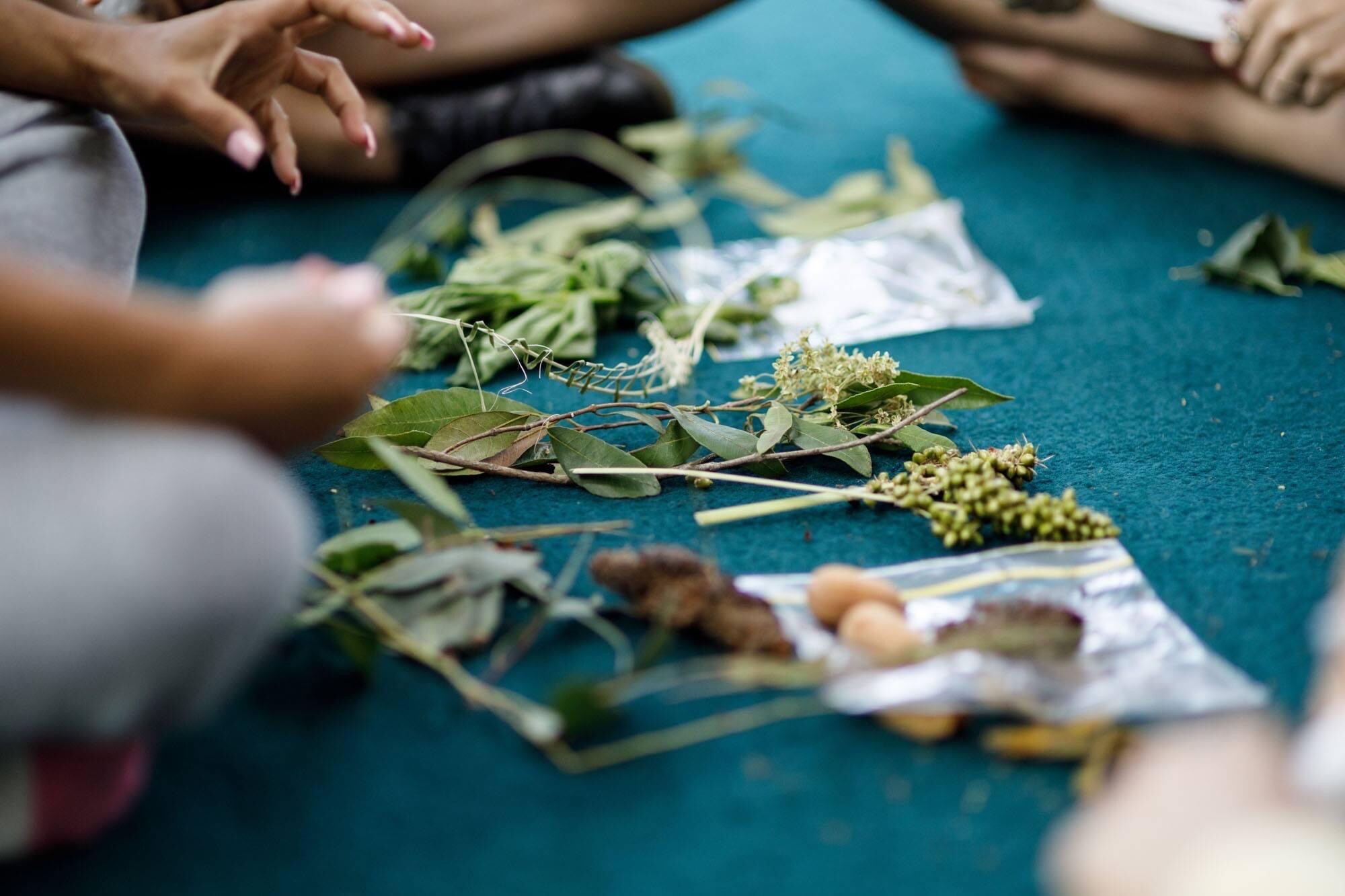 Close up a leaves, seeds and branches on the ground. Three people sit cross legged around them.