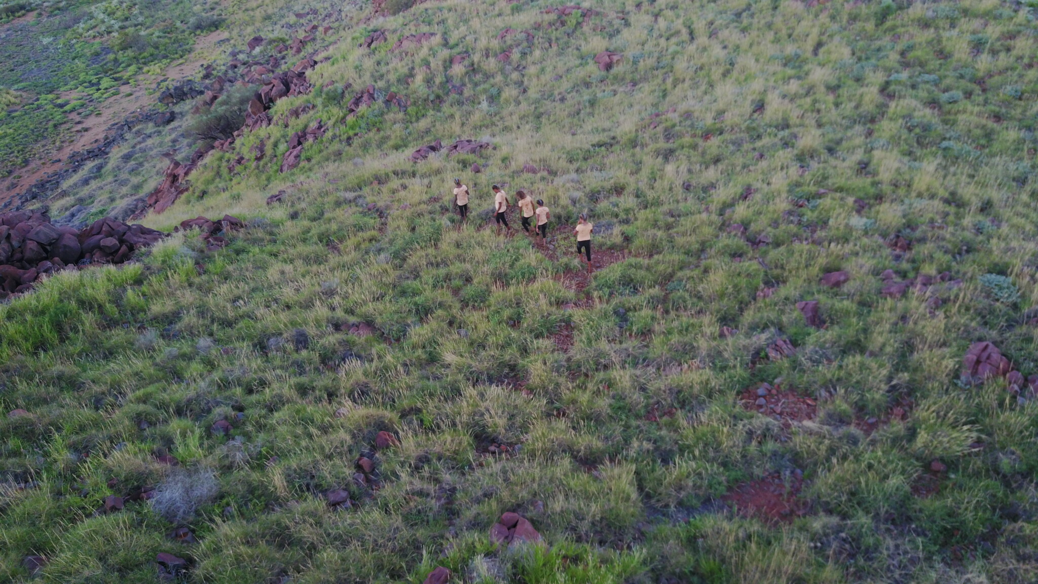 Five people walk down a path surrounded by bush.