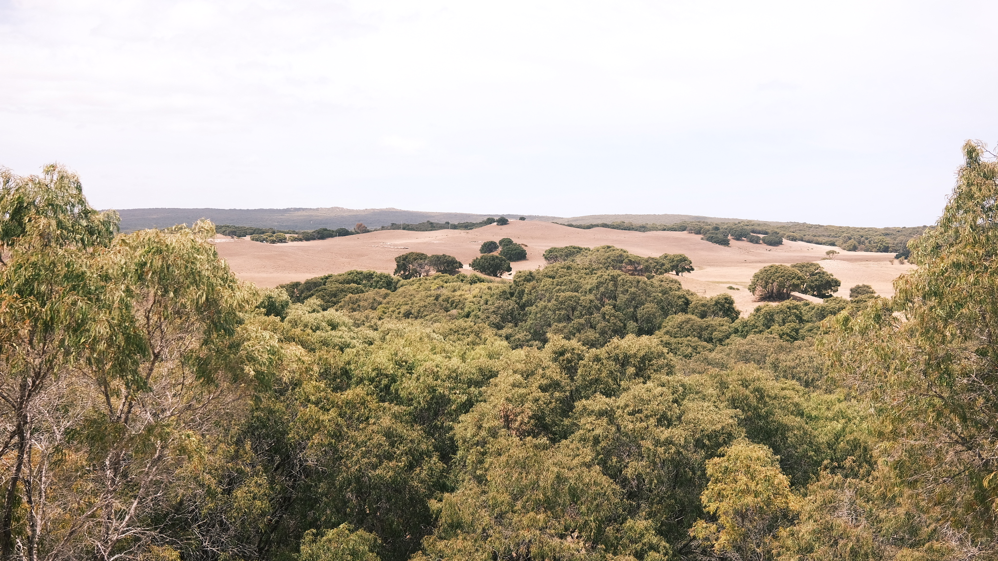 bush landscape and hills