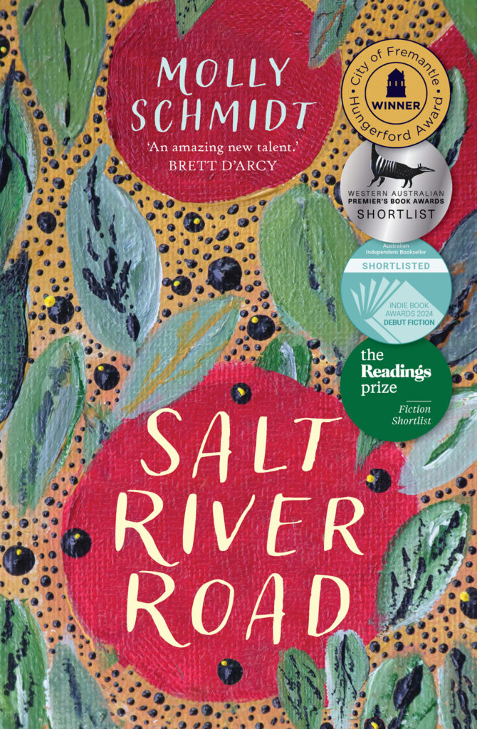 Book cover of Salt River Road by Molly Schmidt