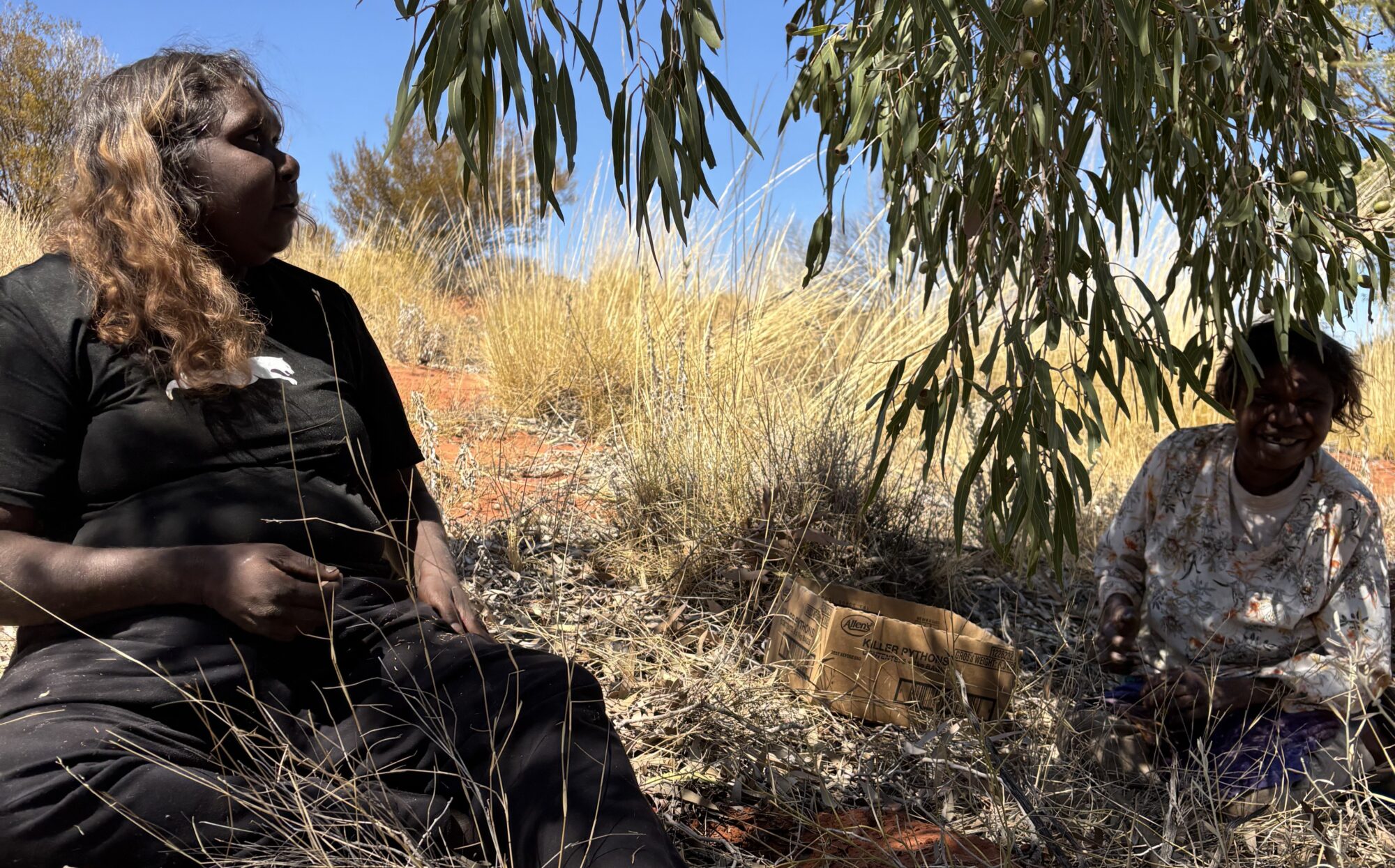 Two women sitting under a eucalyptus tree in a dry grass field.