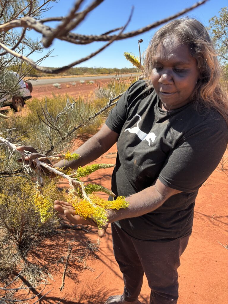 Woman presenting the flowering branch of a moodjar tree.