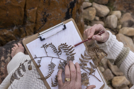 A woman sketches around a leaf onto paper