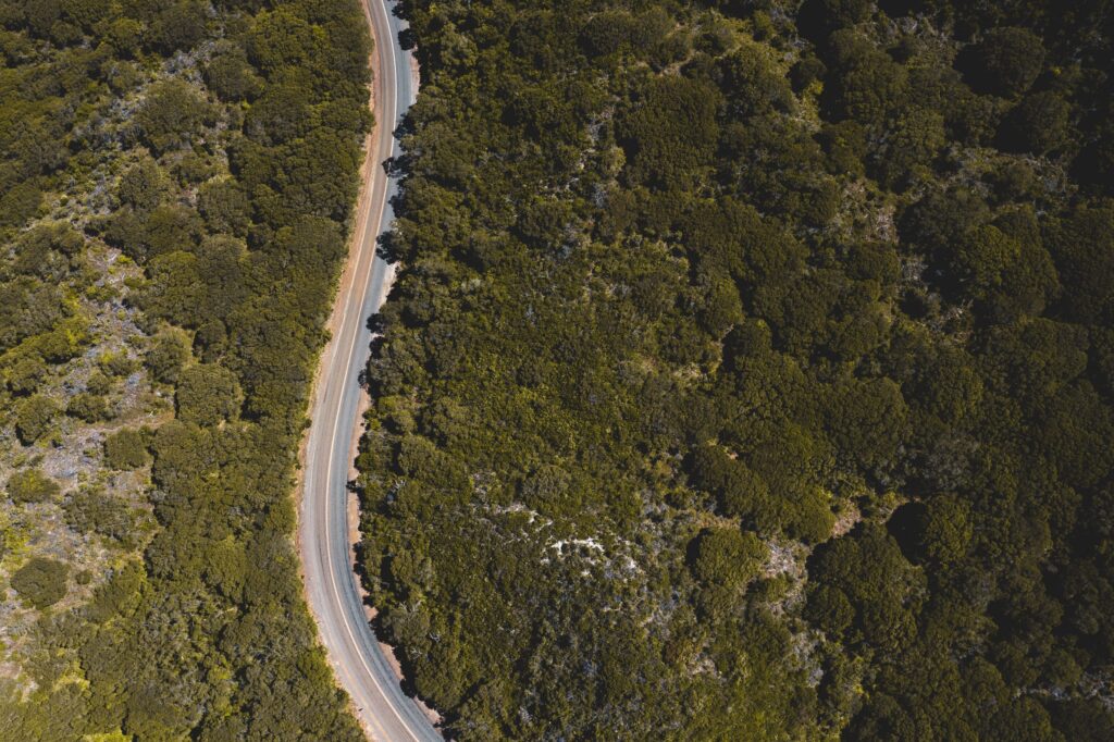 Aerial view of a winding road through forest in William Bay, Australia