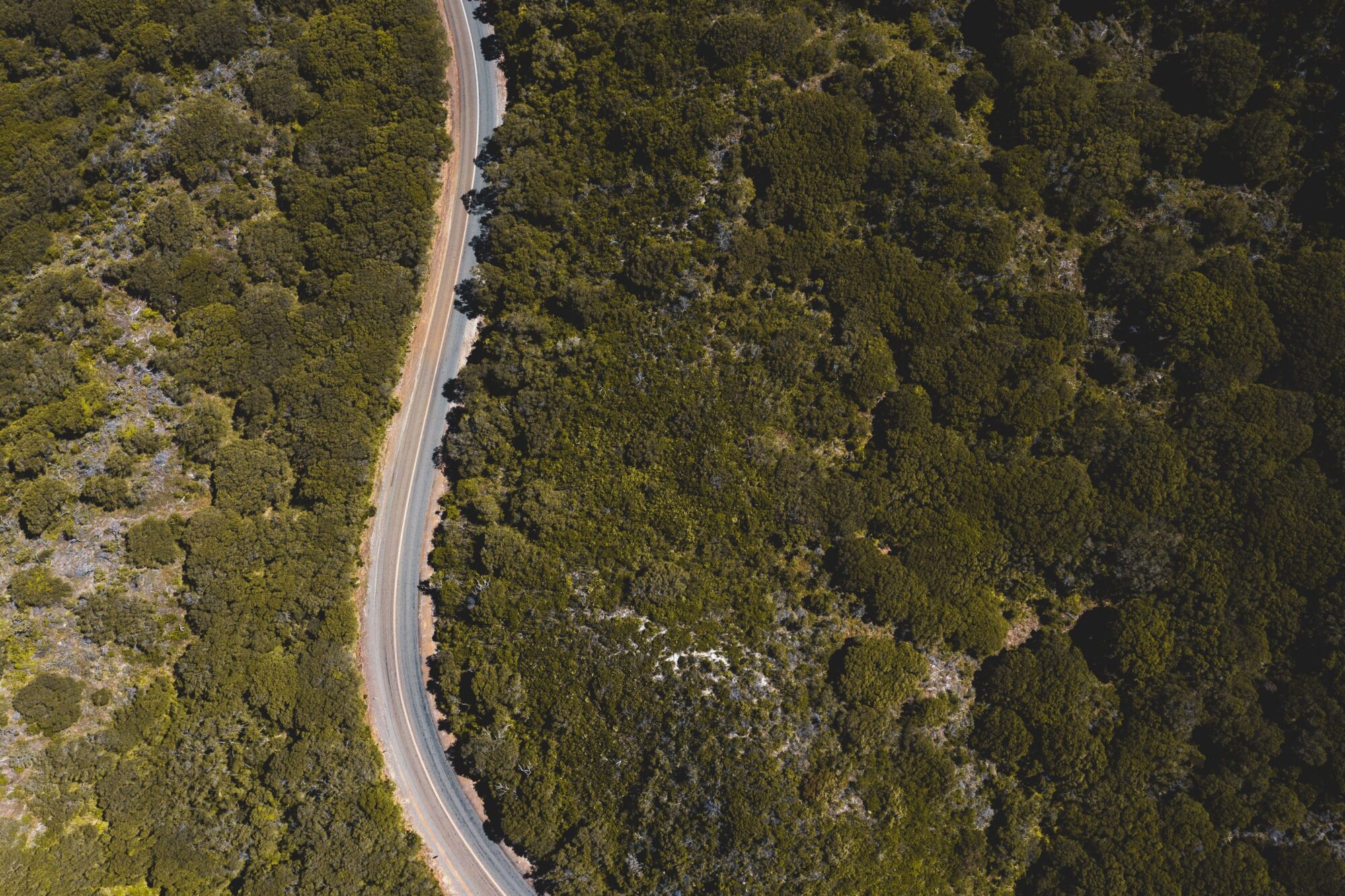 Aerial view of a winding road through forest in William Bay, Australia